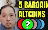 DON’T MISS THESE 5 BARGAIN ALTCOINS WHILE BITCOIN IS SLEEPING!!!