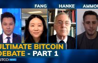 Is Bitcoin worth $100k or $0? Debate with Saifedean Ammous, Steve Hanke, and Hong Fang (Pt. 1/2)