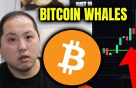 WOAH-LOOK-AT-WHAT-THE-BITCOIN-WHALES-ARE-DOING